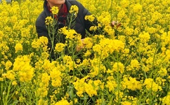 一本二卡三卡四卡无卡免费高